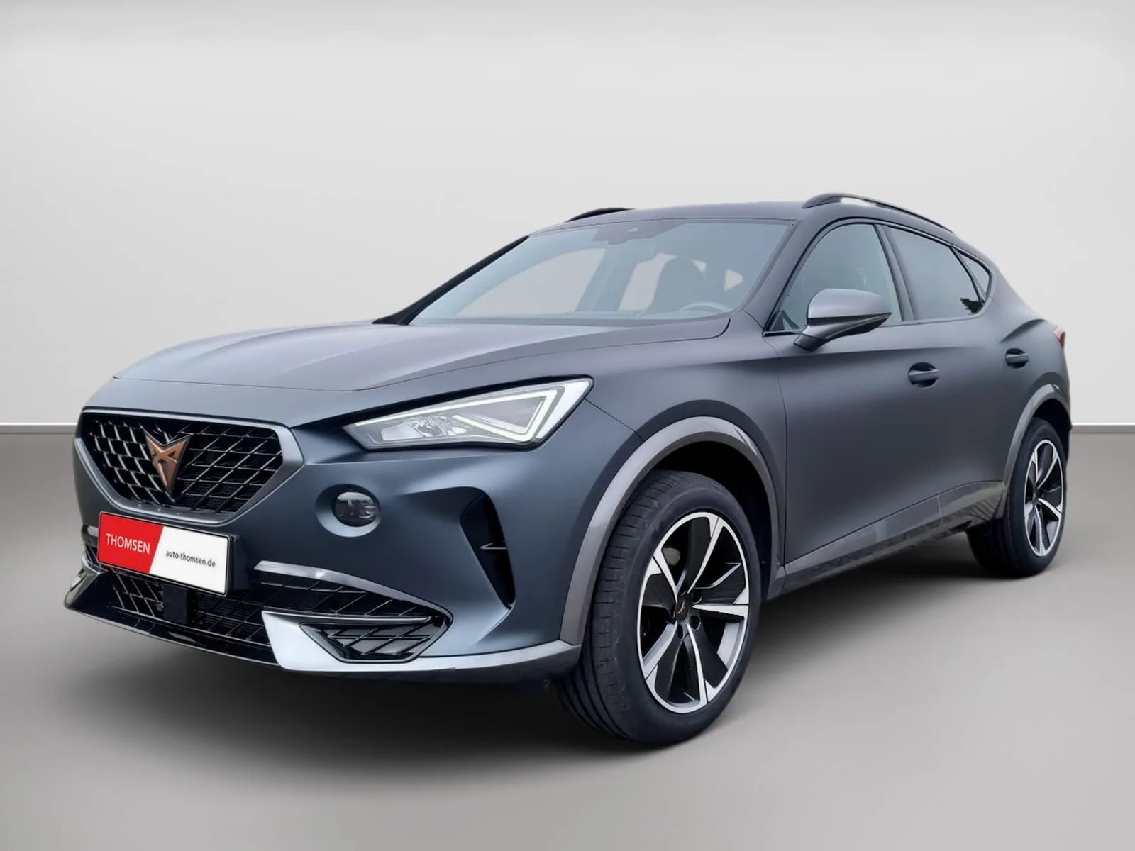 Cupra Formentor 2.0 TDI BEATS+MATT-LACK+RFK+VOLL-LEDER – Bild 2