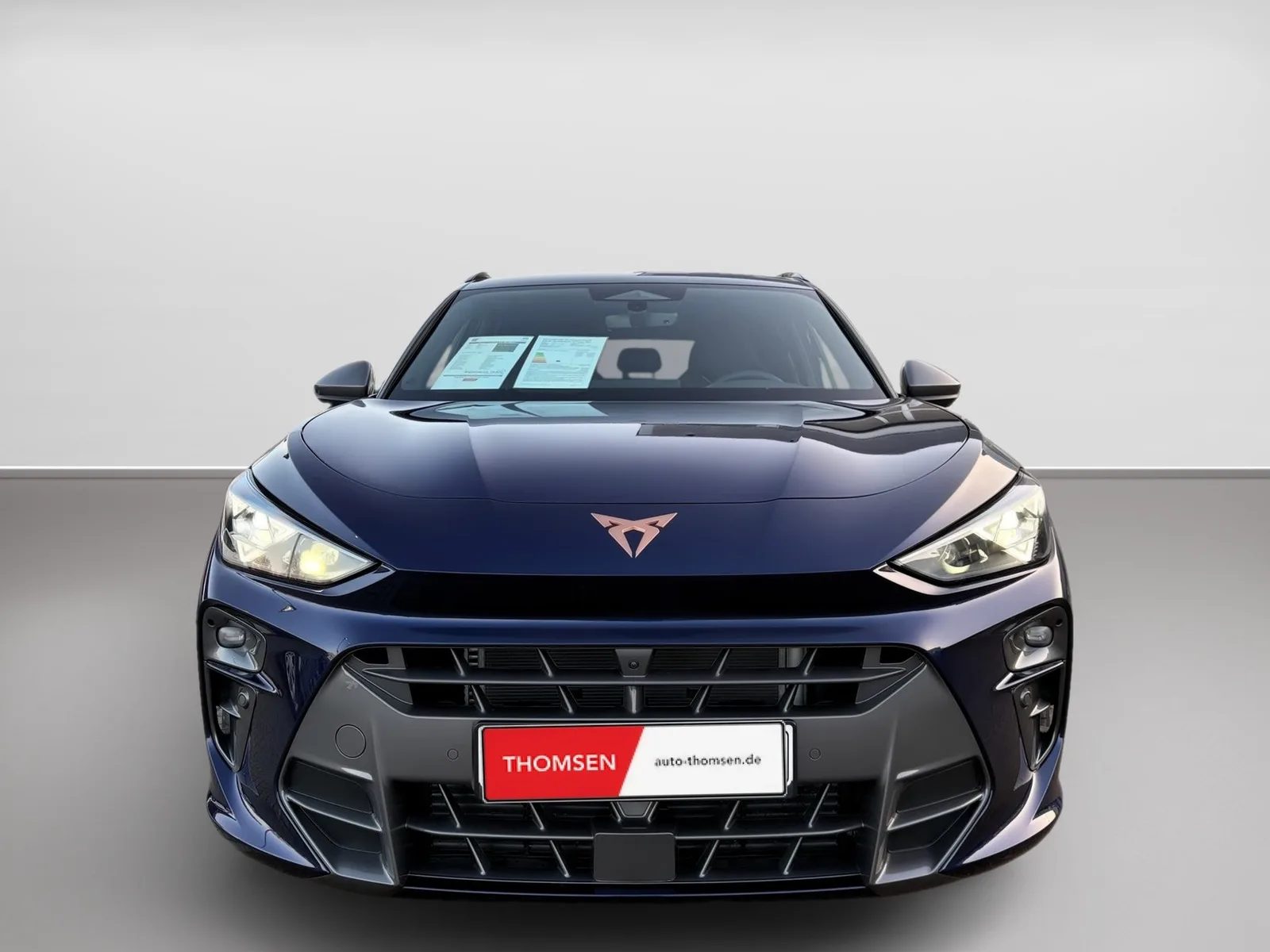 Cupra Terramar 2.0 TSI 4Drive DSG+ACC+AHK+LED+360 – Bild 3