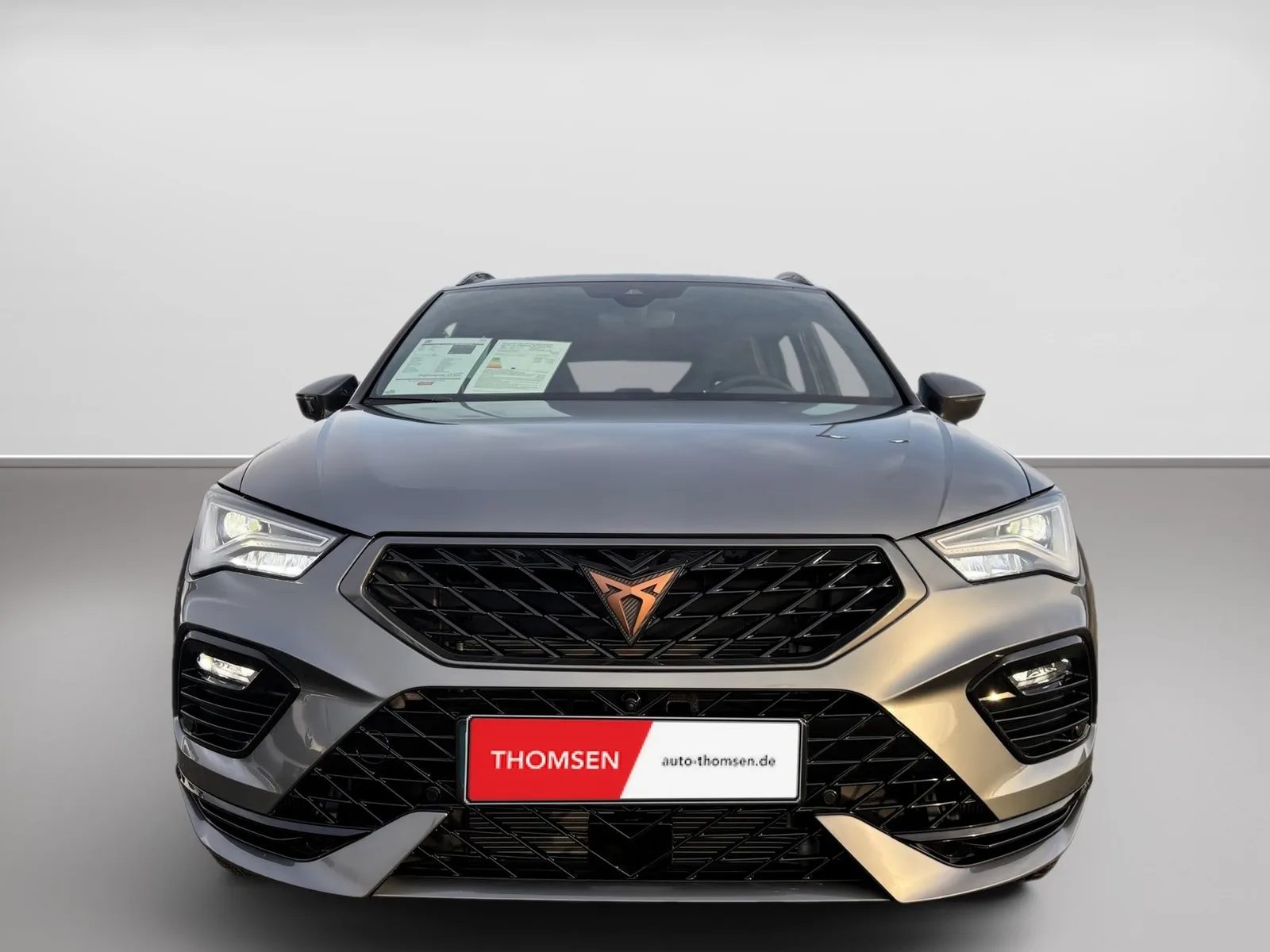 Cupra Ateca 2.0 TSI 4Drive VZ DSG+ACC+LED+Navi+360 – Bild 3