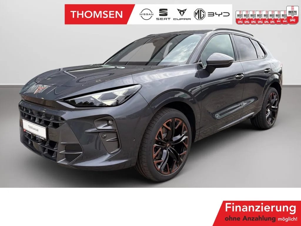 Cupra Terramar VZ 2.0 TSI 4Drive DSG+ACC+AHK+LED