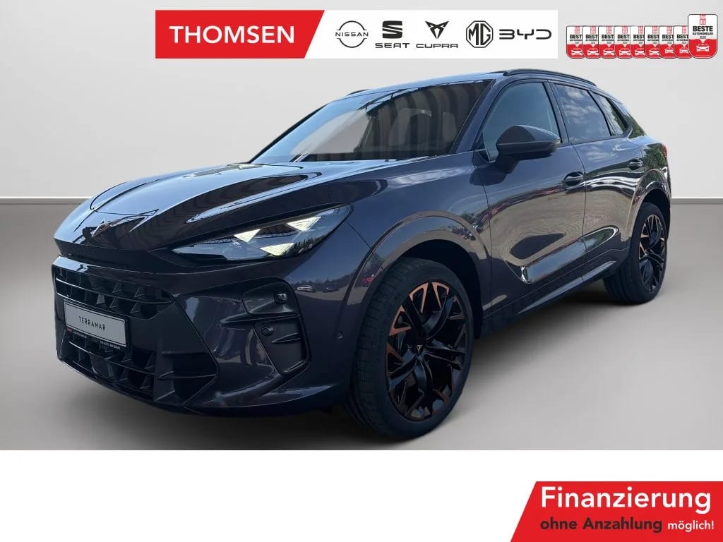 Cupra Terramar 2.0 TSI 4Drive W VZ DSG+ACC+AHK+AUT+LED
