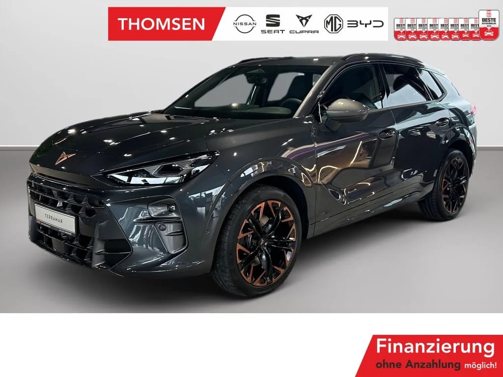 Cupra Terramar 2.0 TSI 4Drive W VZ DSG+ACC+AUT+LED+SD