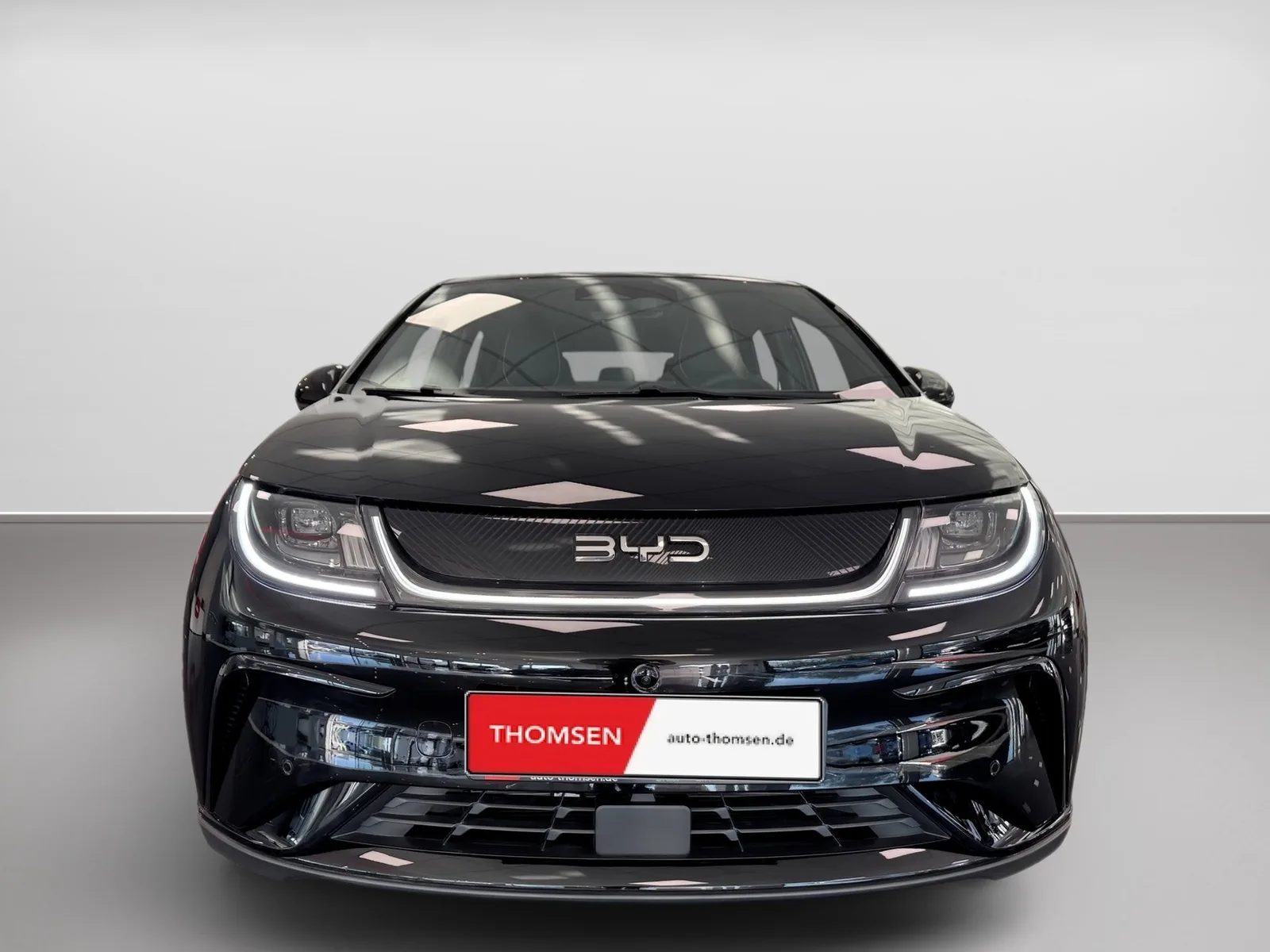 BYD DOLPHIN 2025 COMFORT 360Kamera, Park. v&h, Wint.P – Bild 3