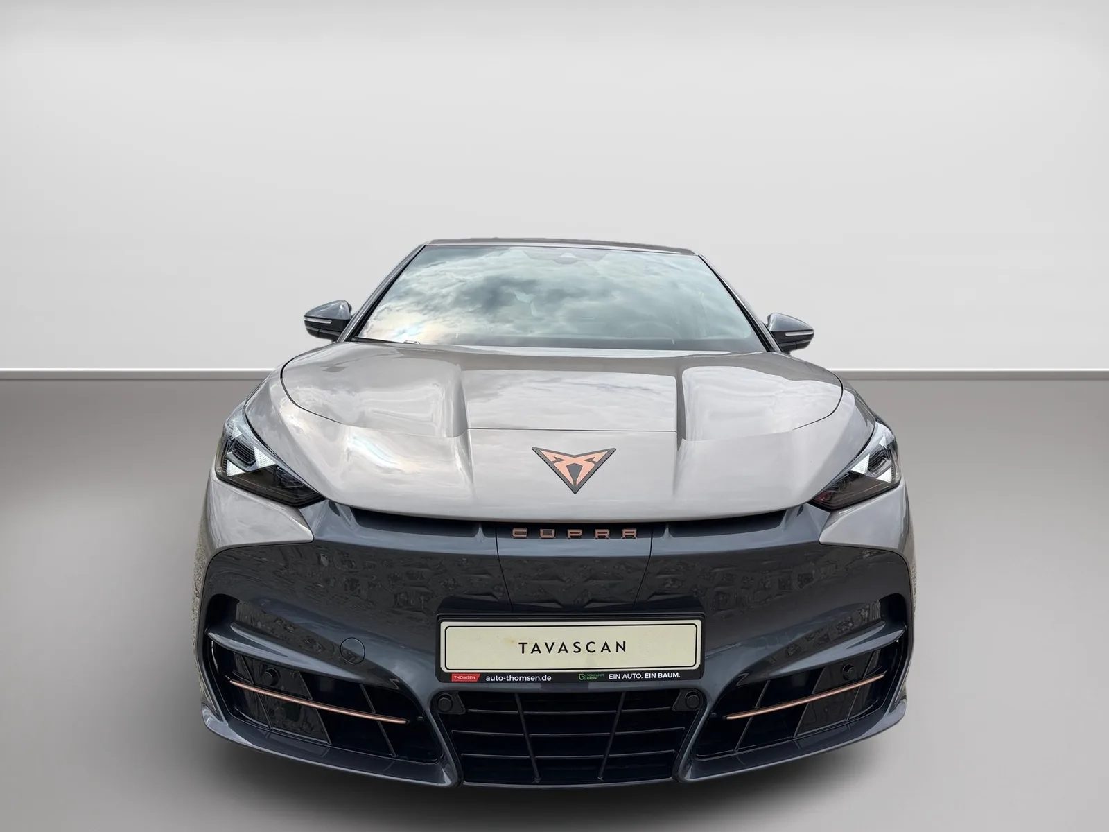Cupra Tavascan Endurance ACC+AUT+LED+PDC+Virtual – Bild 3
