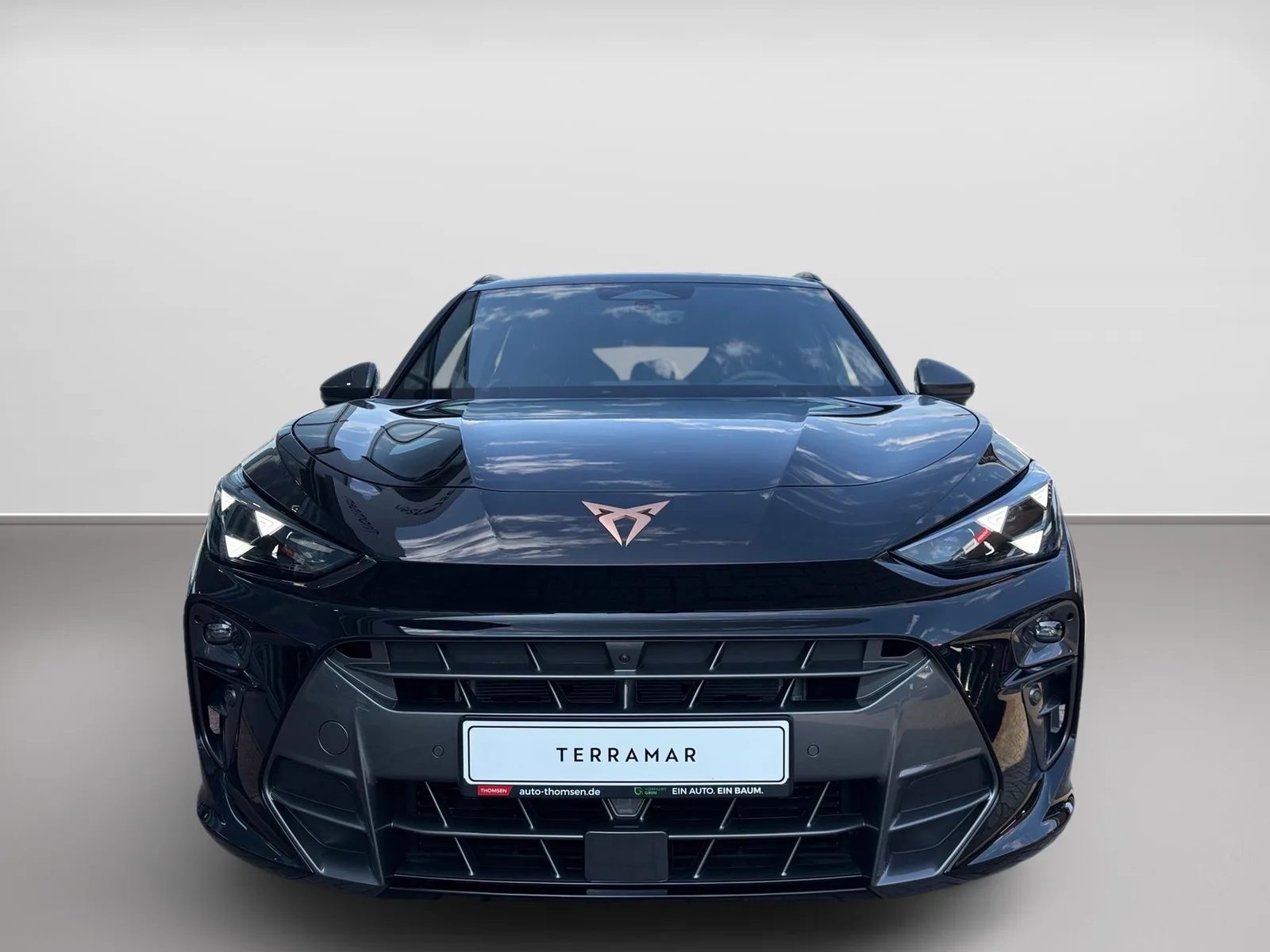 Cupra Terramar 2.0 TSI 4Drive W VZ DSG+ACC+AHK+AUT+LED – Bild 3
