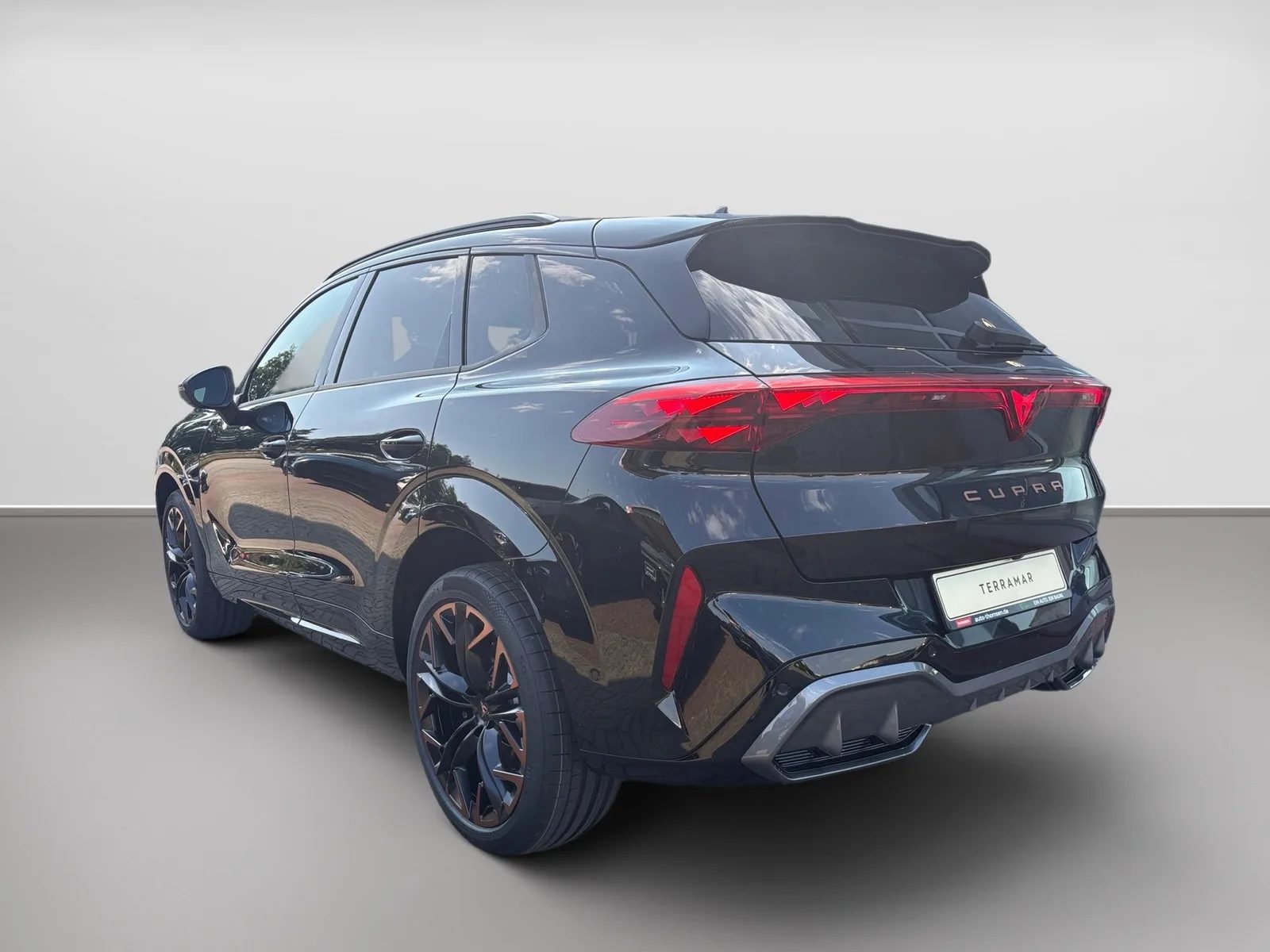 Cupra Terramar 2.0 TSI 4Drive W VZ DSG+ACC+AHK+AUT+LED – Bild 5